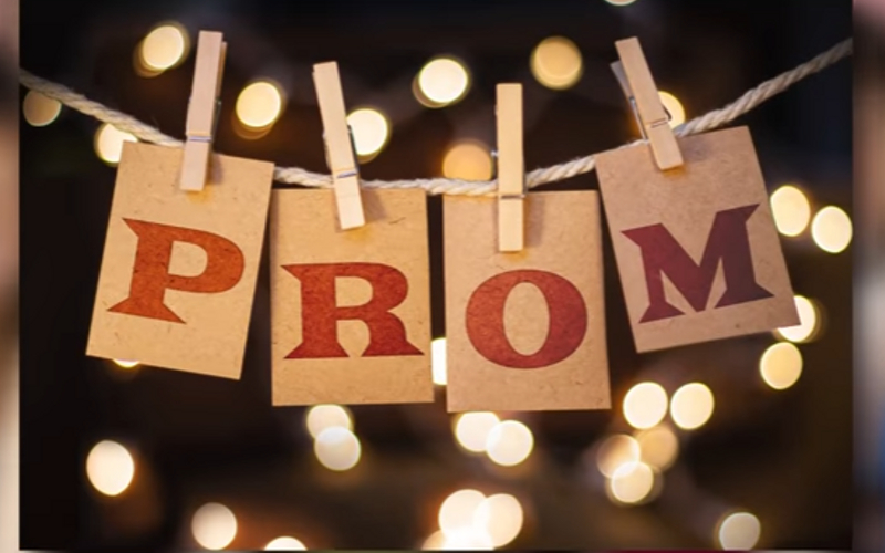 28 Best Prom King And Queen Slogans Blogcastfm
